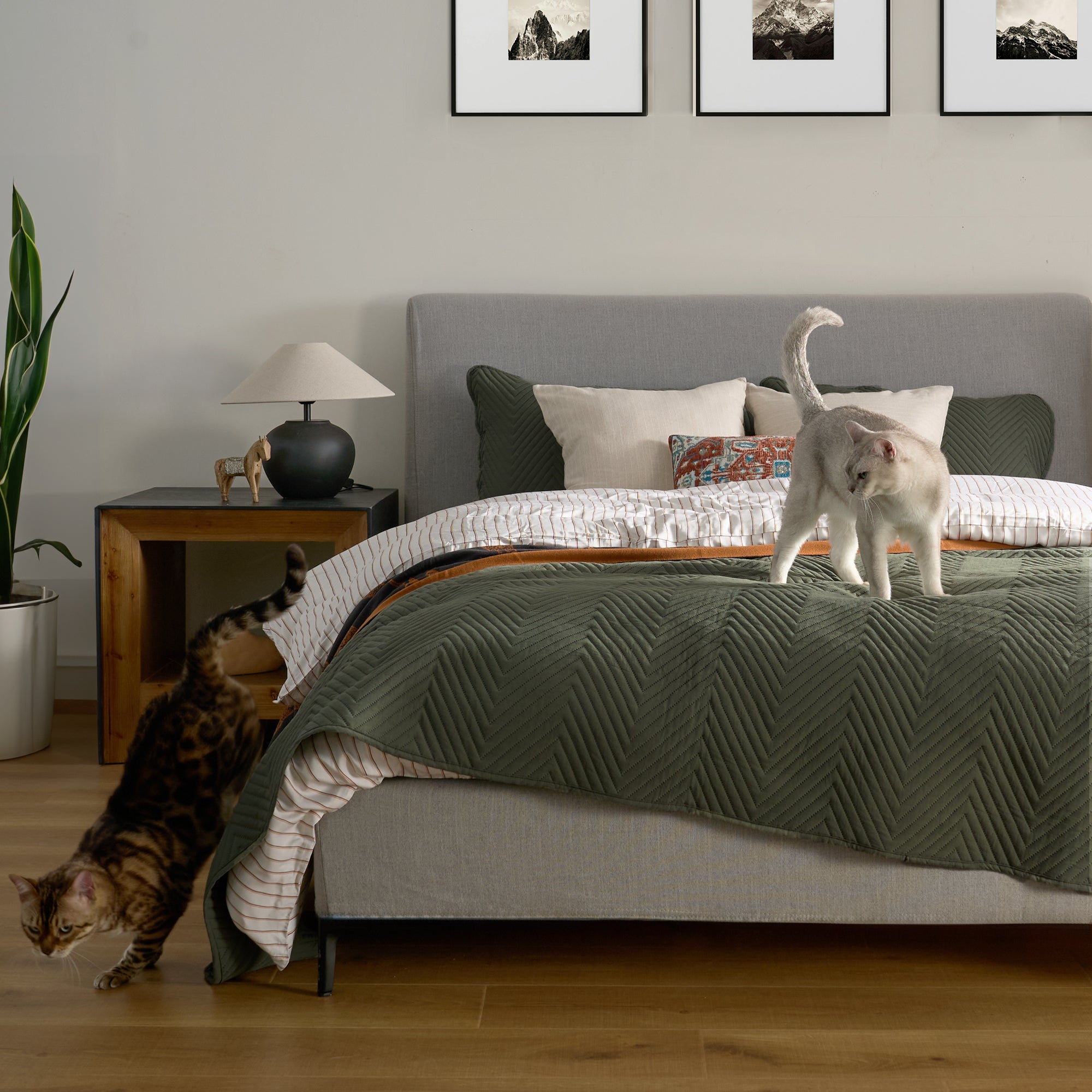 FURRFREE Quilt Set - Pet Hair Repellent for Dogs/Cats Family - Limited Time Offer - Image 3