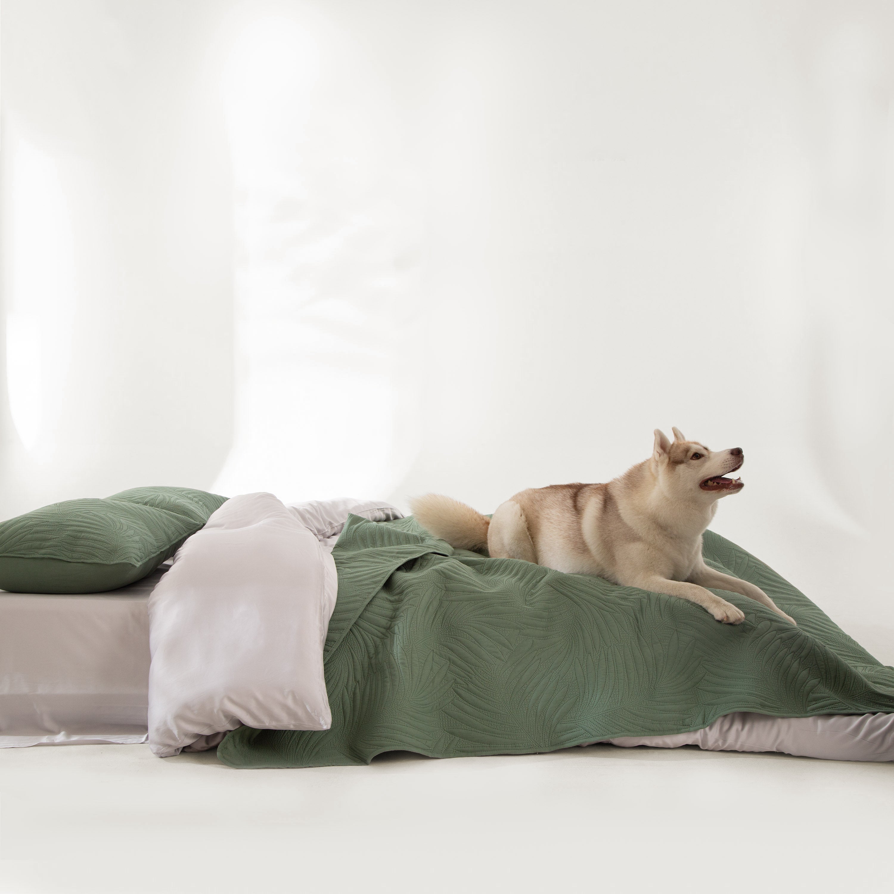 FURRFREE Quilt Set - Pet Hair Repellent for Dogs/Cats Family - Limited Time Offer - Image 47
