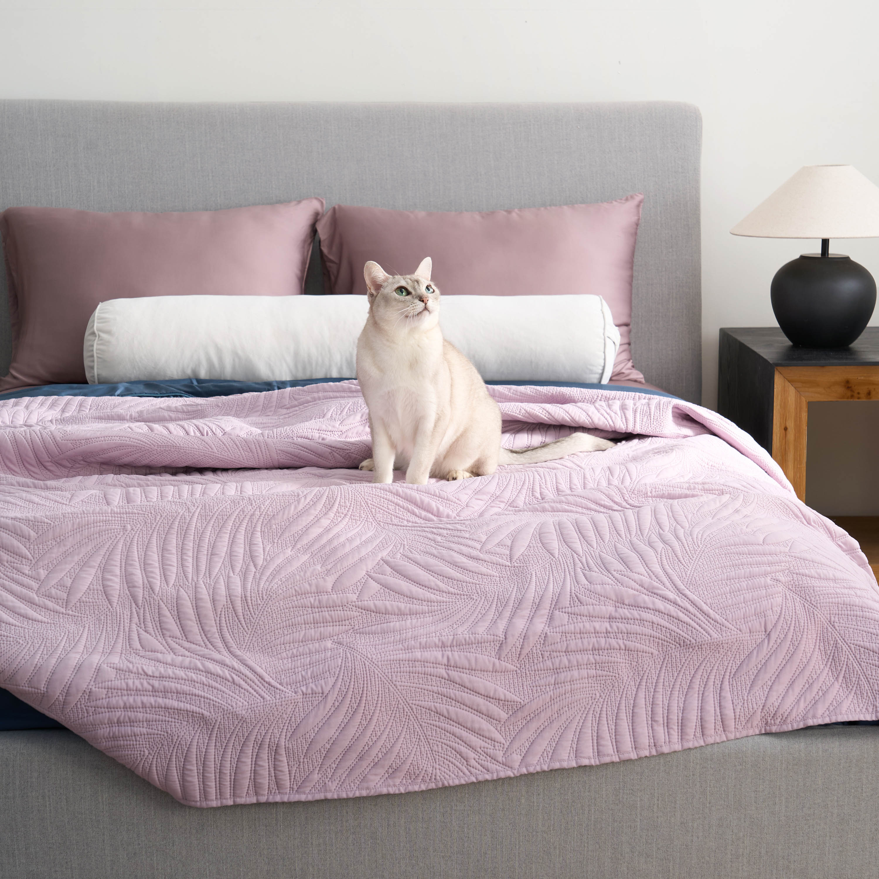 FURRFREE Quilt Set - Pet Hair Repellent for Dogs/Cats Family - Limited Time Offer - Image 87