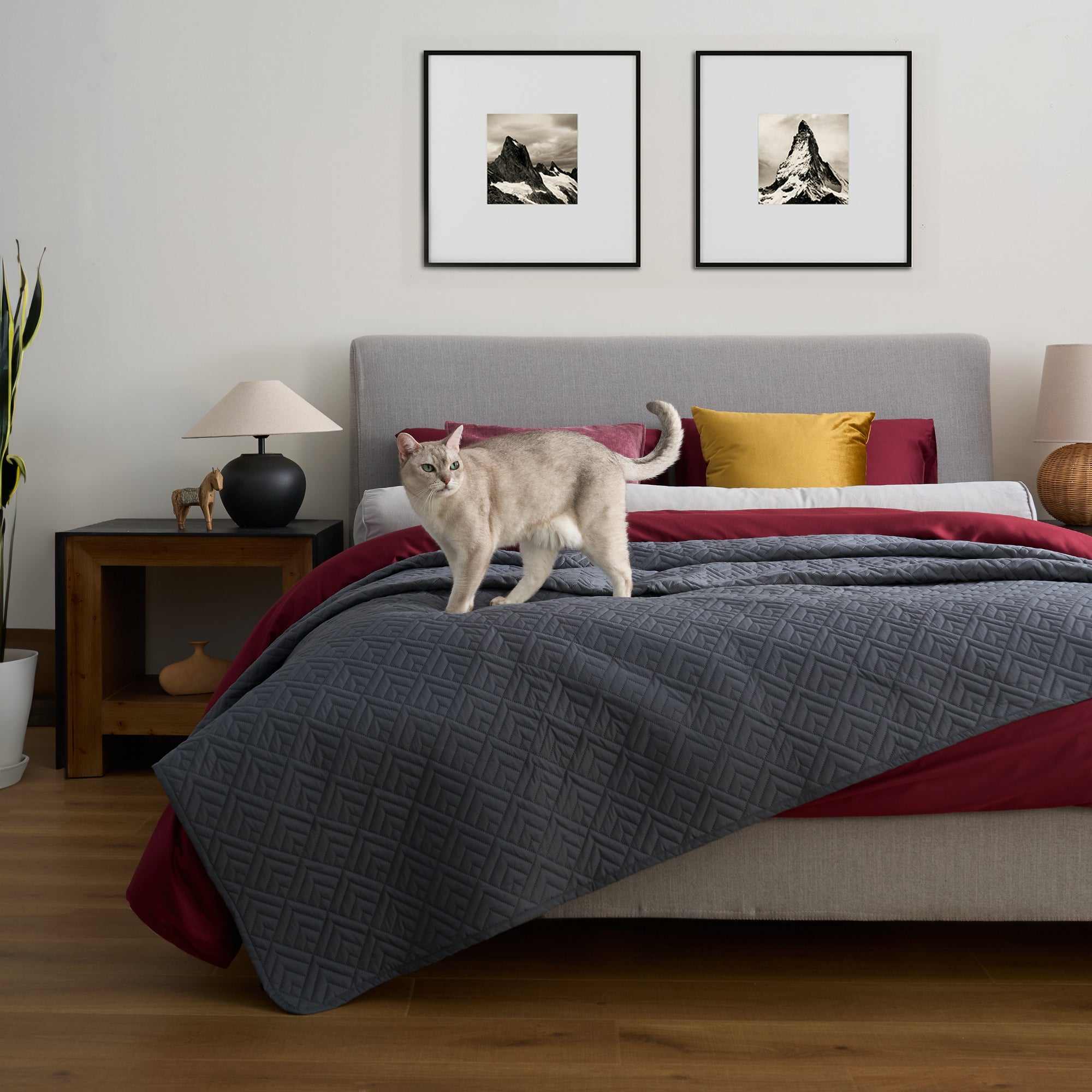 FURRFREE Quilt Set - Pet Hair Repellent for Dogs/Cats Family - Limited Time Offer - Image 26