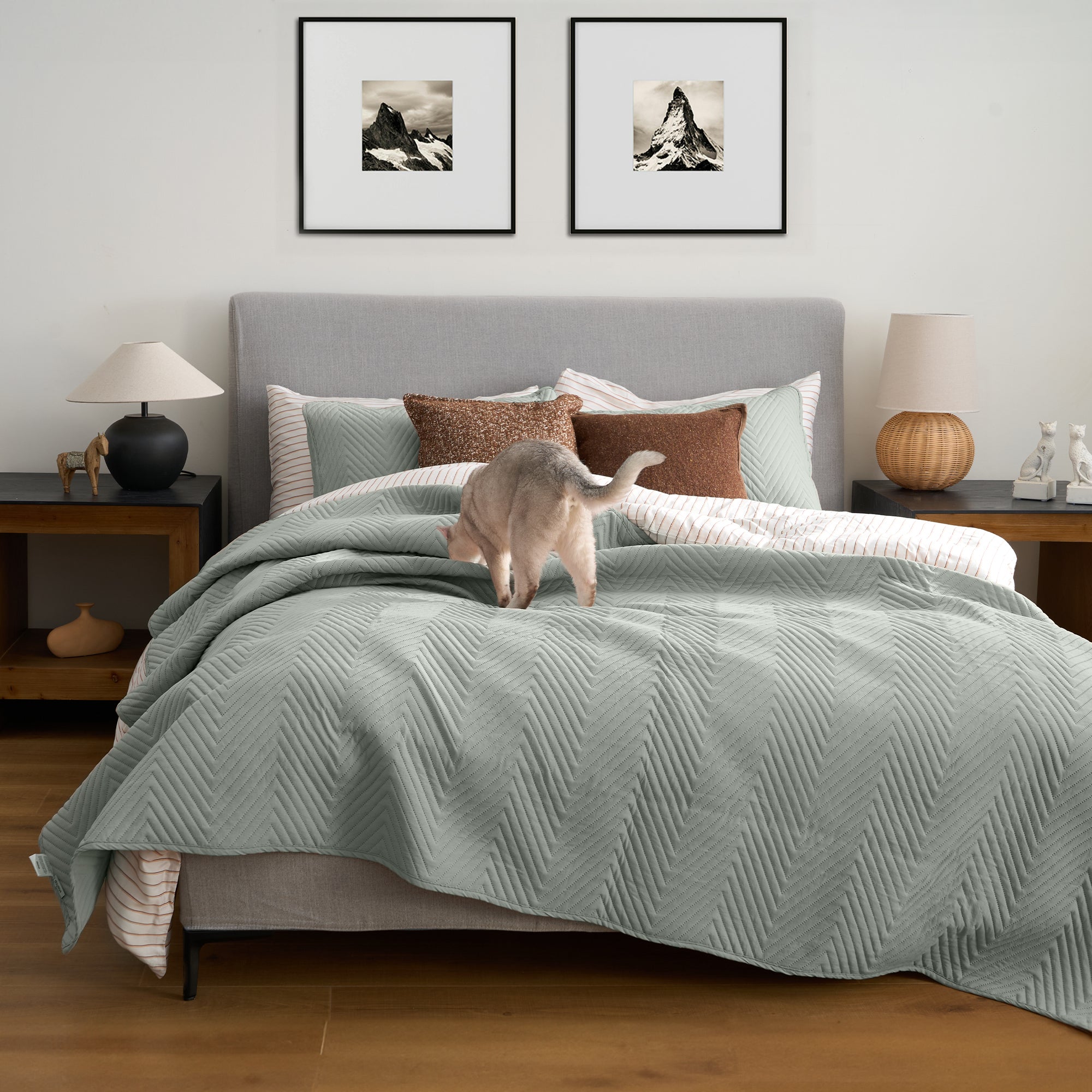 FURRFREE Quilt Set - Pet Hair Repellent for Dogs/Cats Family - Limited Time Offer - Image 57
