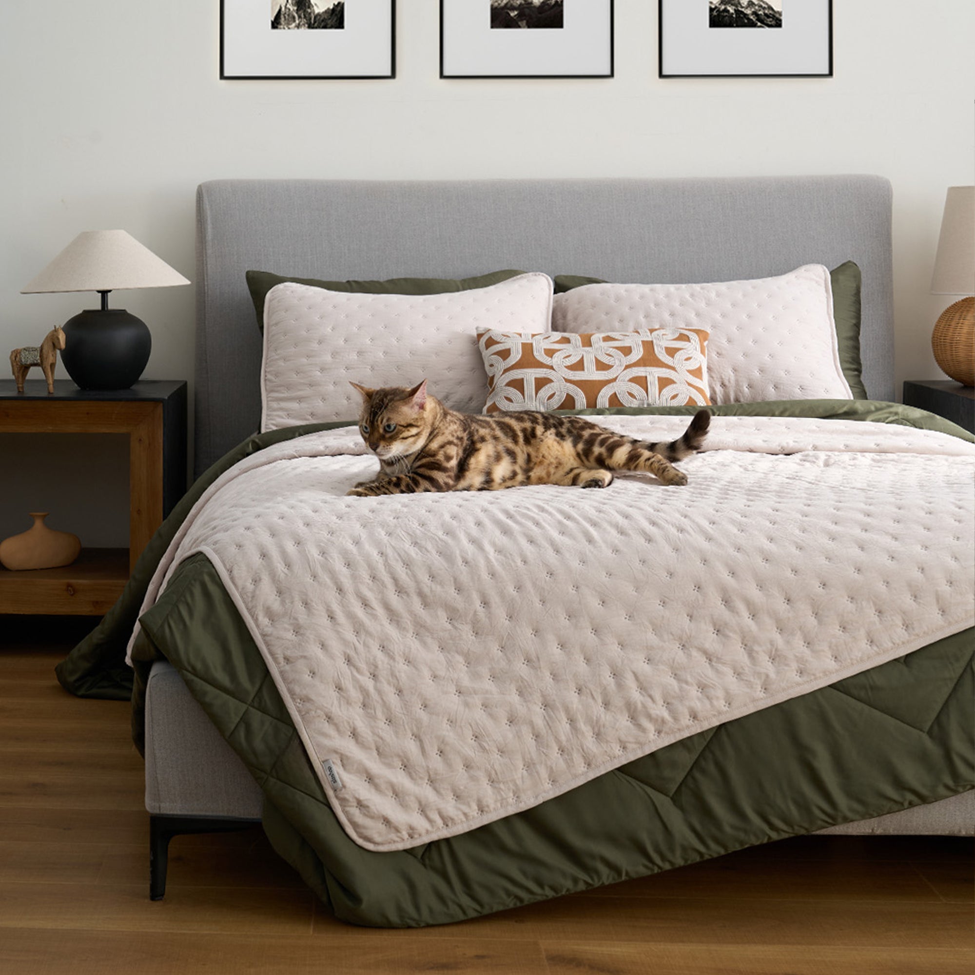 FURRFREE Quilt Set - Pet Hair Repellent for Dogs/Cats Family - Limited Time Offer - Image 33